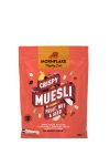 Mornflake cukormentes gabonapehely gyümölccsel és magvakkal