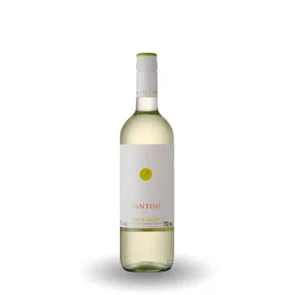 Fantini Pinot Grigio Terre d'Abruzzo IGP